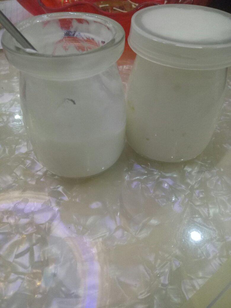 自制酸奶的做法