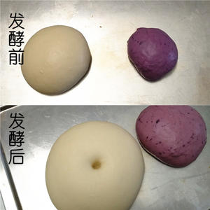柔软的紫薯吐司卷的做法 步骤3