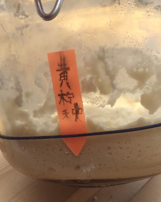 自制宠物-天然柠檬酵母