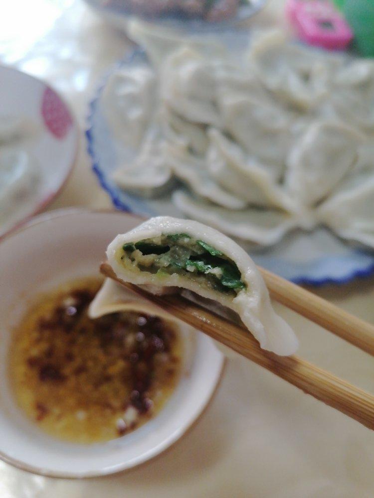 【鲜掉眉毛的】龙利鱼韭菜馅儿水饺