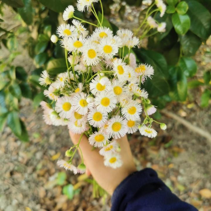 开心淘淘happy