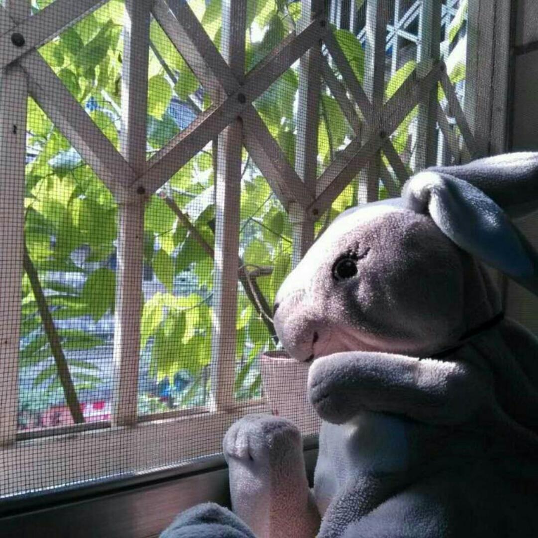 yjyjyjy