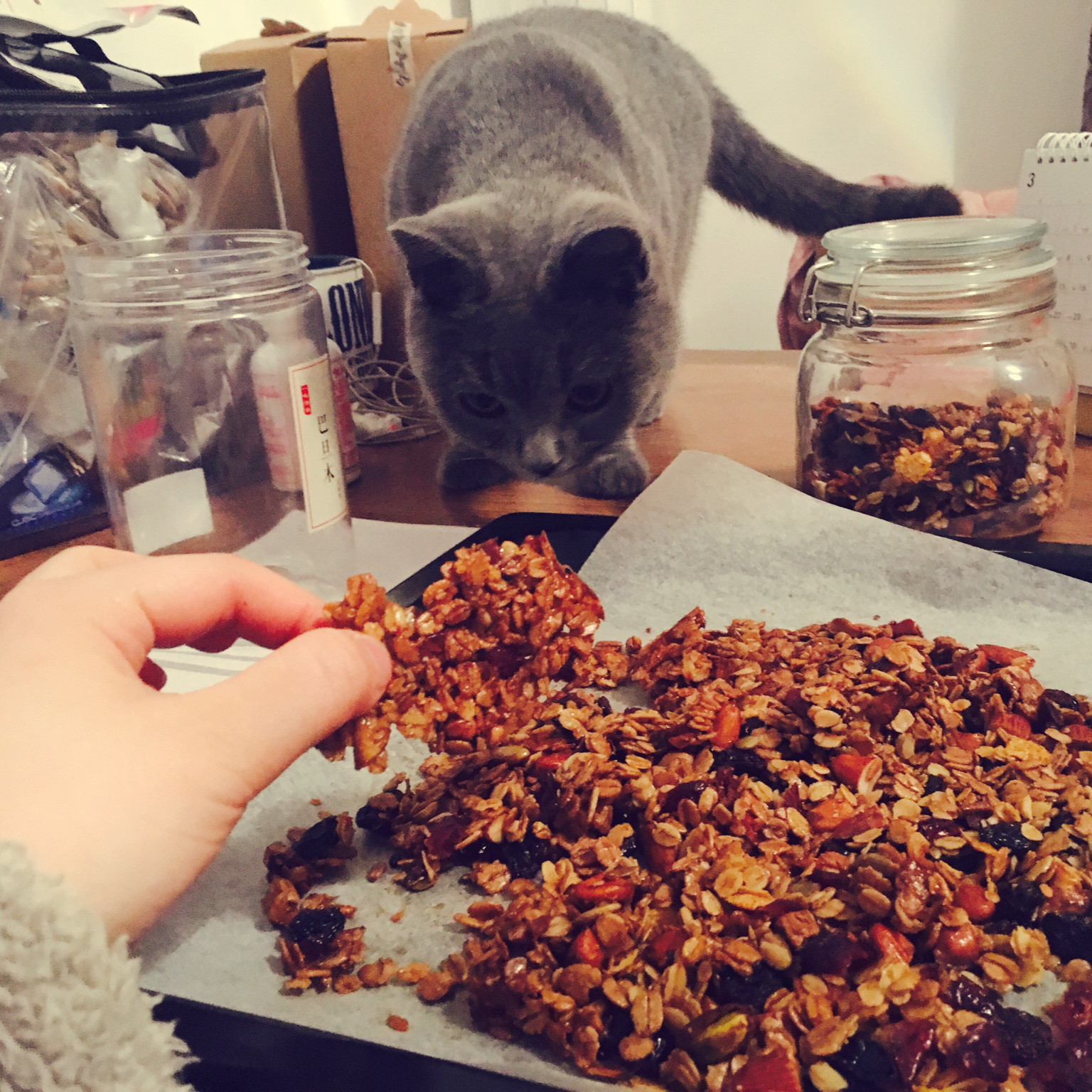 格兰诺拉燕麦片 Homemade Granola