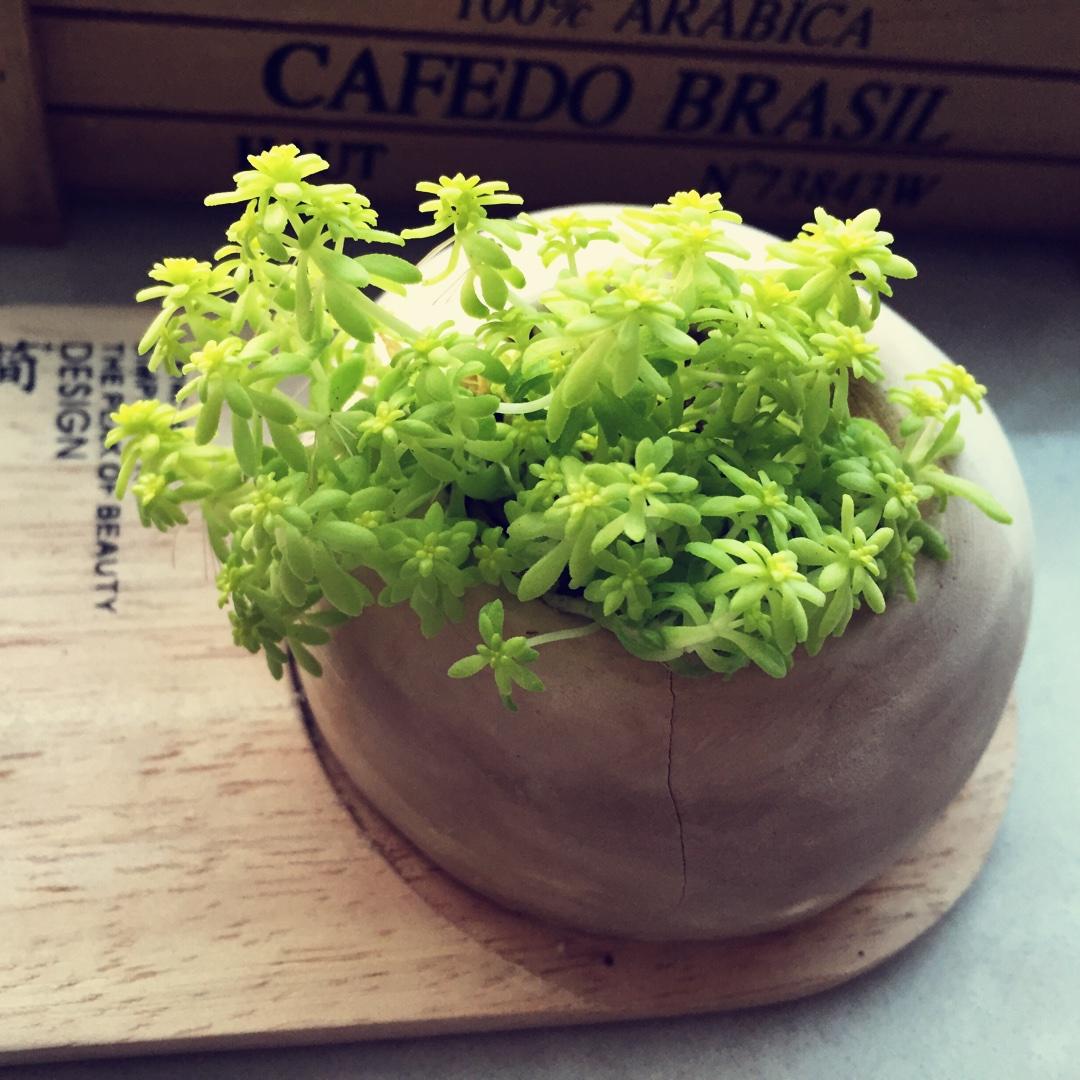 手机用户1660_yqfo