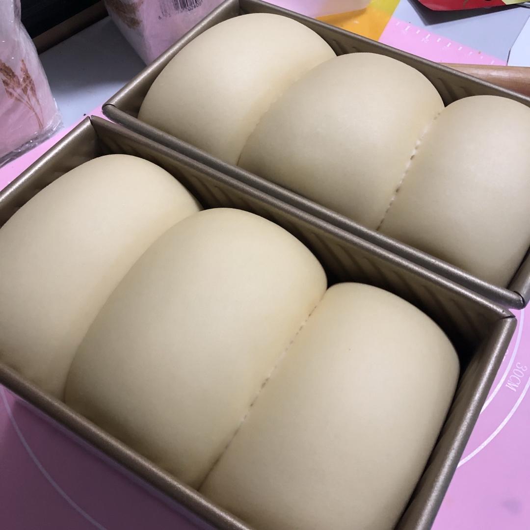 夺命软吐司(๑´ڡ`๑)超软拉丝极速方便的一次发酵吐司