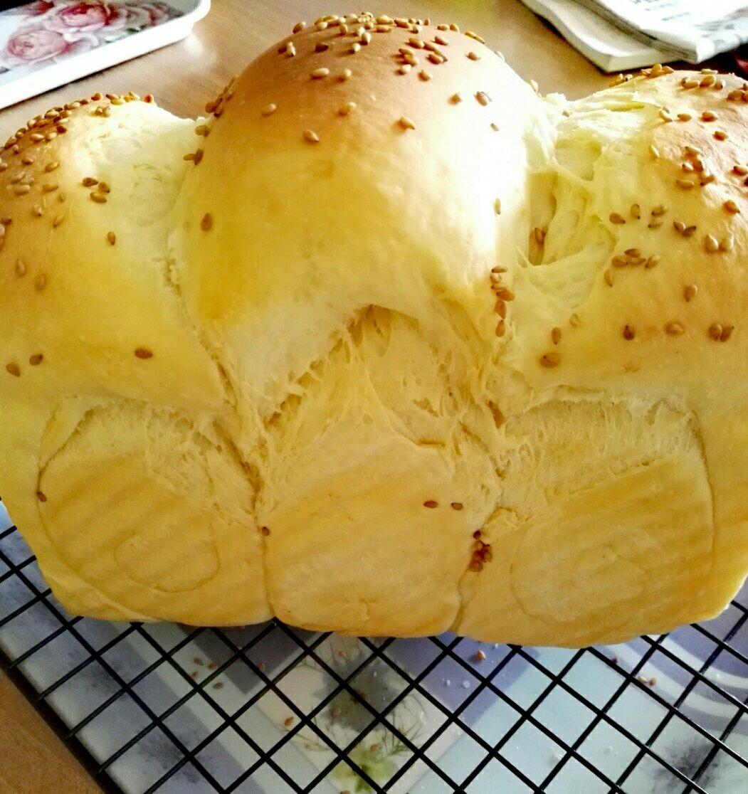 夺命软吐司(๑´ڡ`๑)超软拉丝极速方便的一次发酵吐司