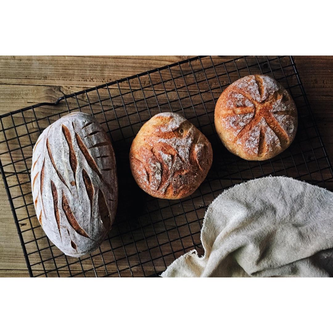 【Sourdough】天然酵种红薯欧包（附不同割包刀片使用体会）