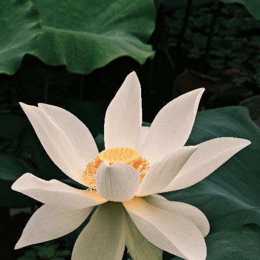 电路基础