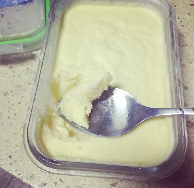 自制哈根达斯风味的冰淇淋