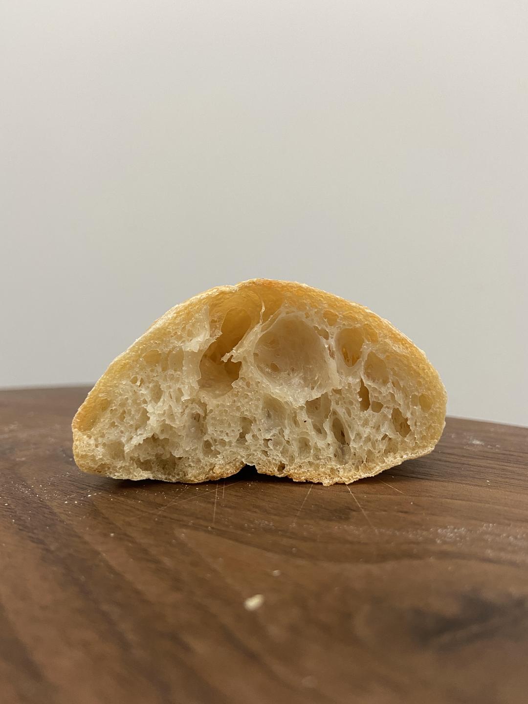成功的波兰种大水量夏巴塔