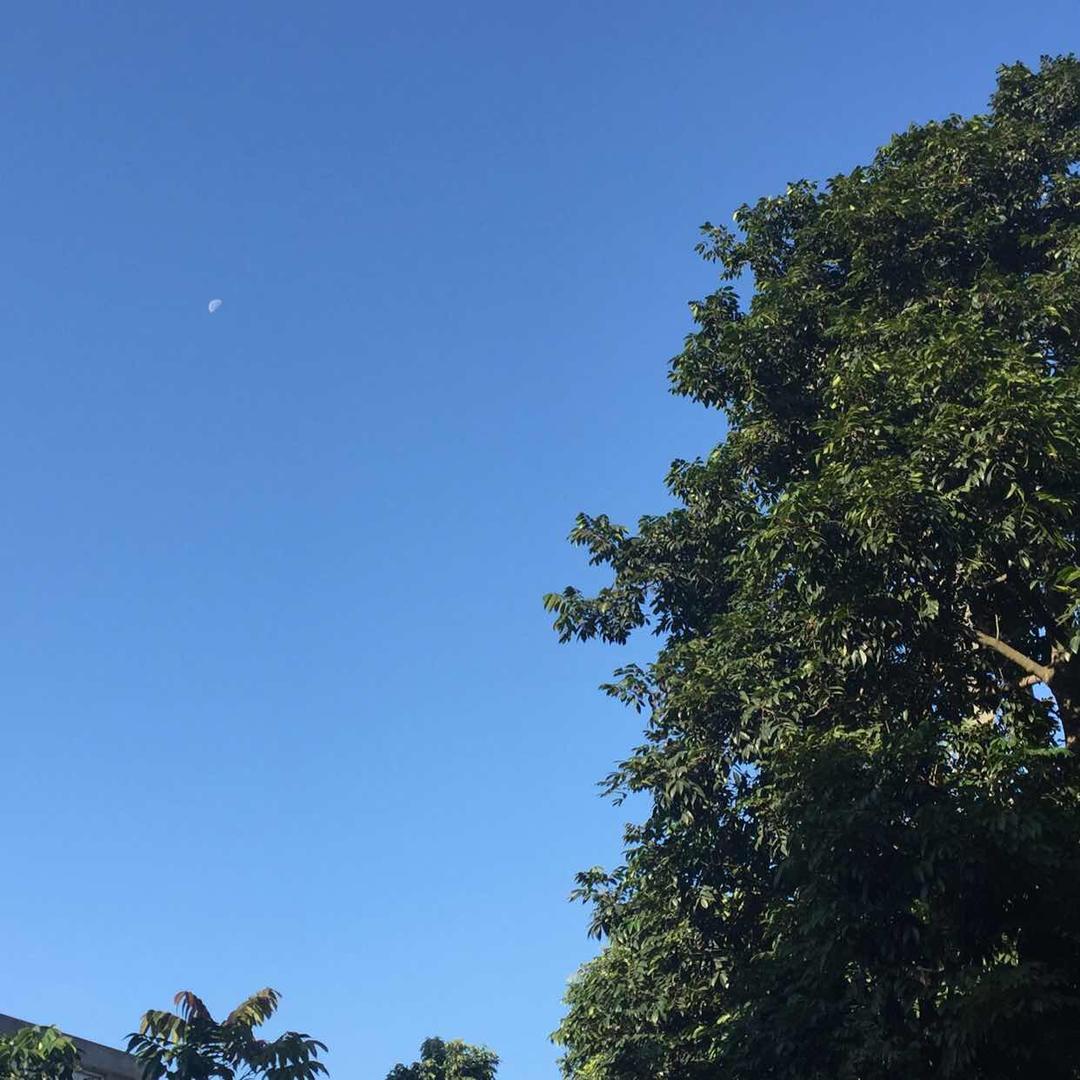 叶溜溜是个小吃货