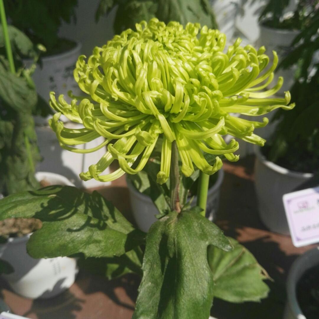 手机用户6925_d3eg