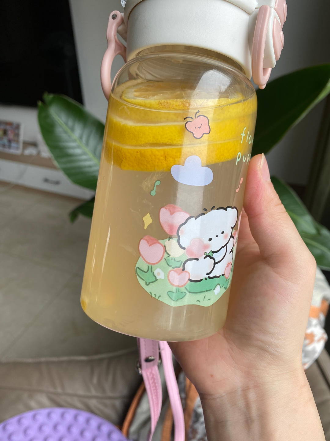 蜜雪冰城同款柠檬水，5块钱的快乐！快来试试吧