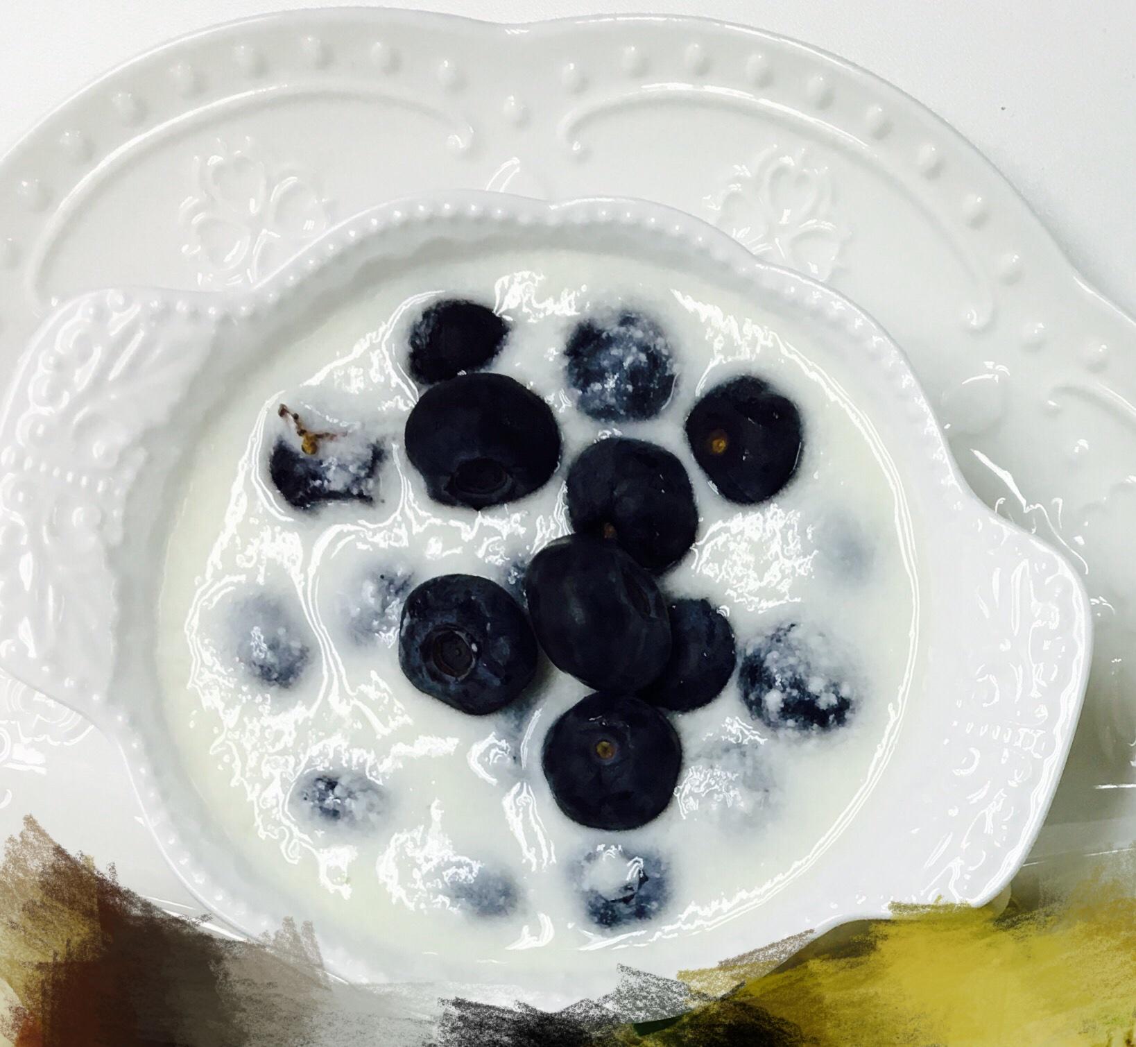 自制蓝莓脱脂酸奶 酸奶机的做法