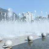 不吃鱼的小花猫a