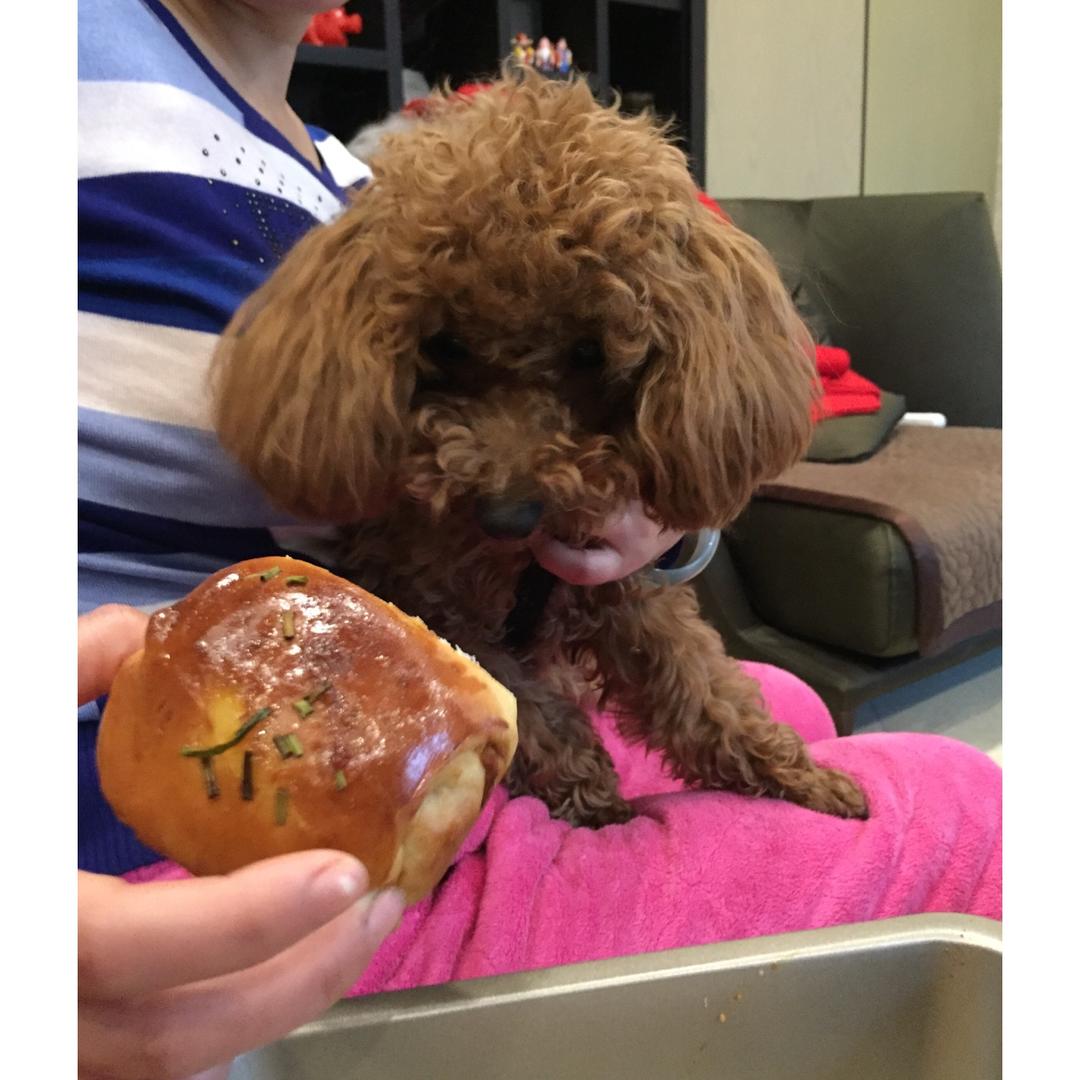 香葱肉松面包卷