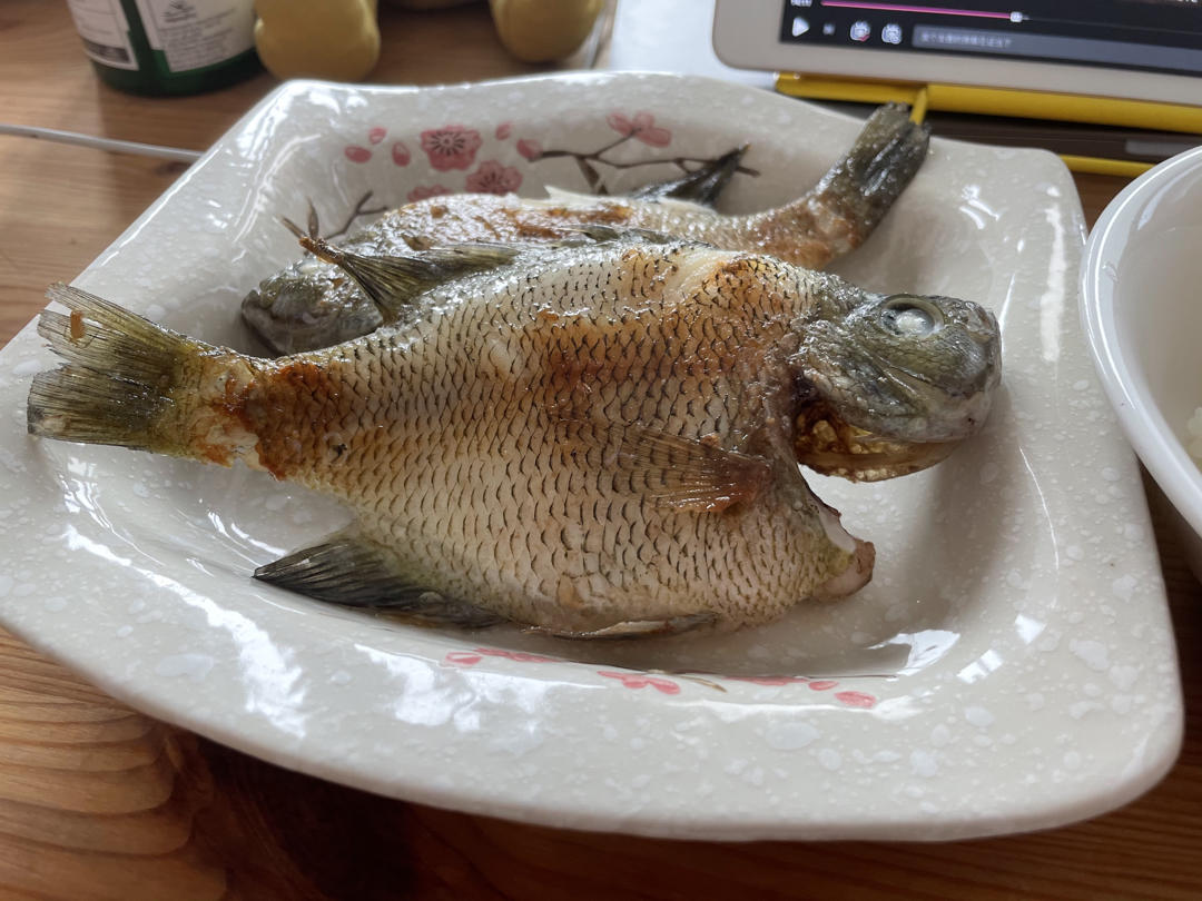 香煎太阳鱼（超简）