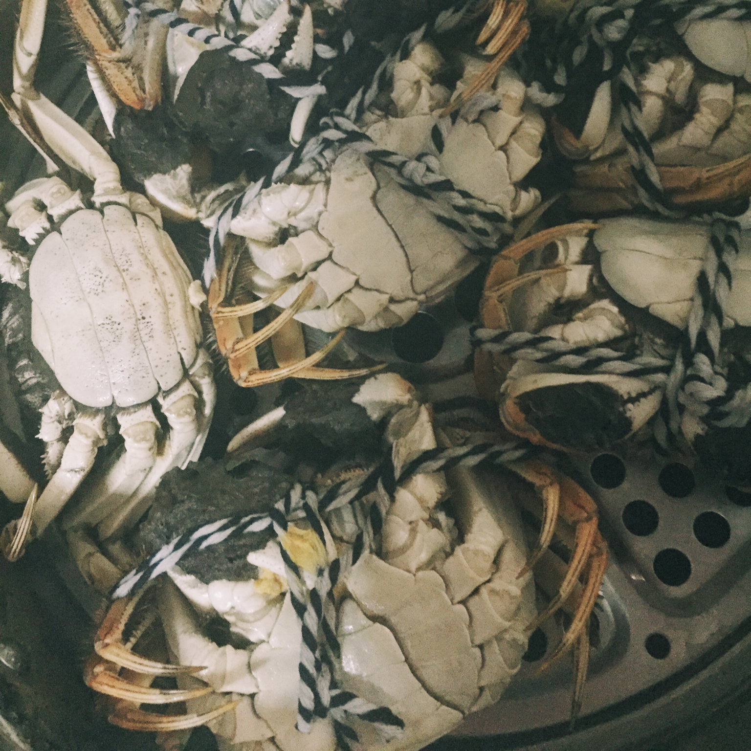 买了便当盒就要好好用～