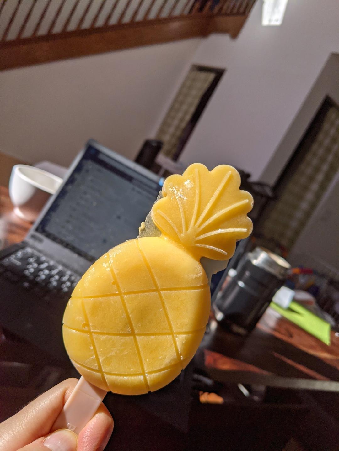 菠萝芒果冰棍丨健康·零食