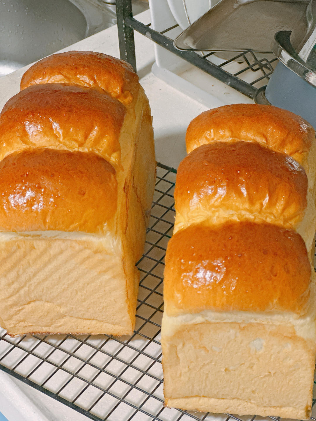 100%冷藏中种北海道吐司2.0版