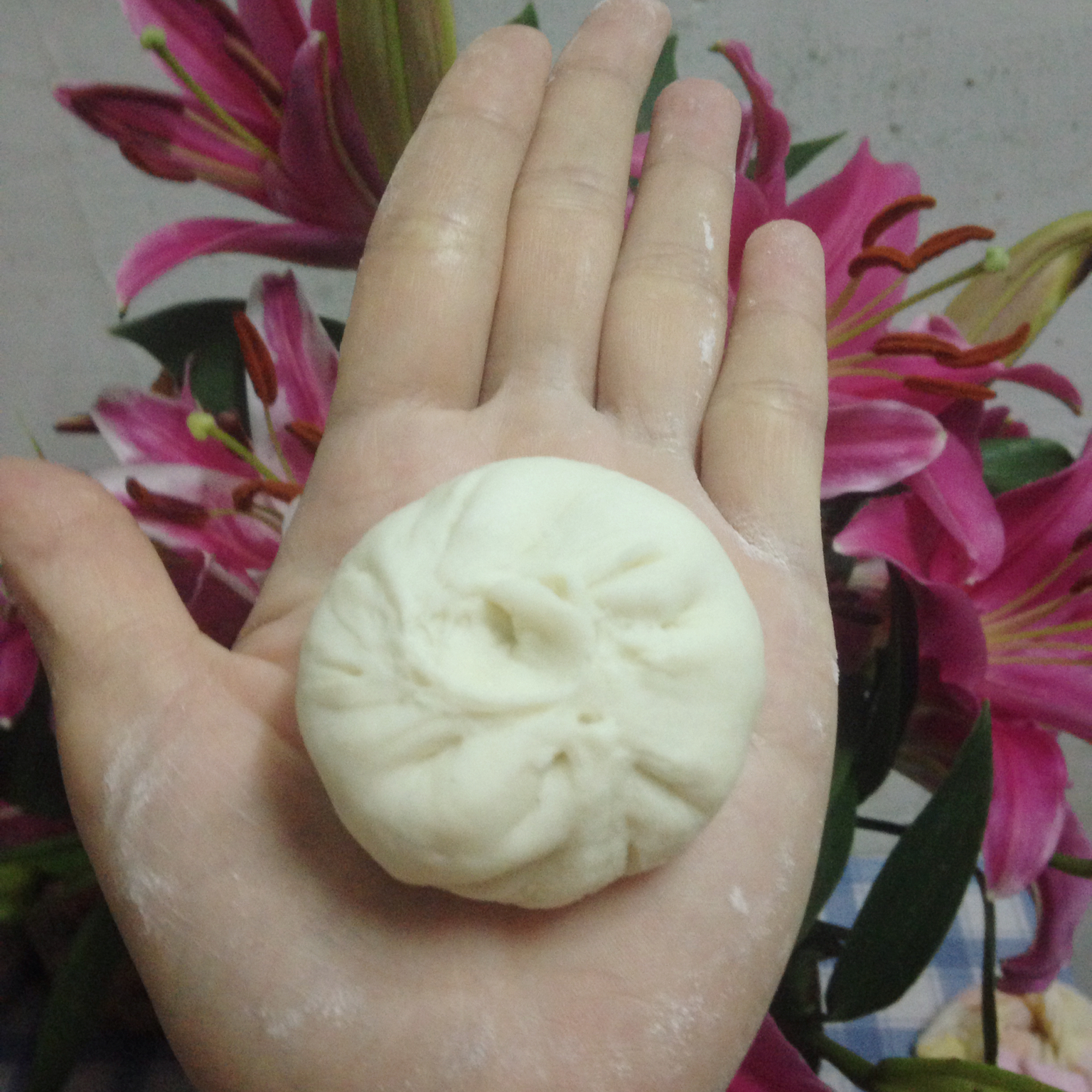 手机用户9835_7jpb做的肉末豆角玉米面包子