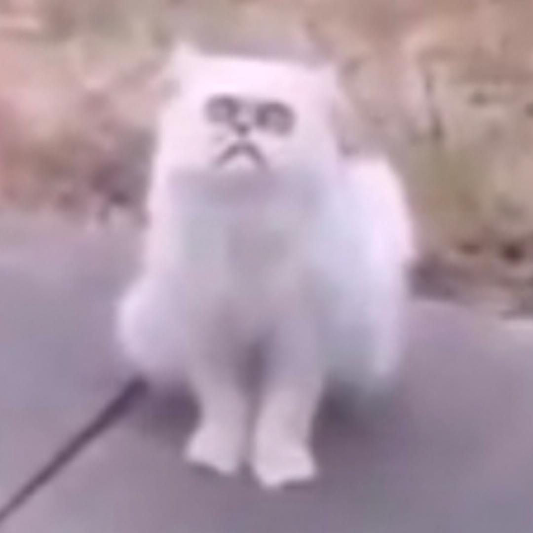 ARWENLIU