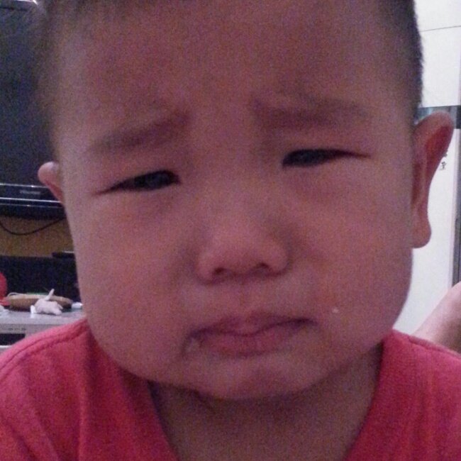 三天打鱼两天休息