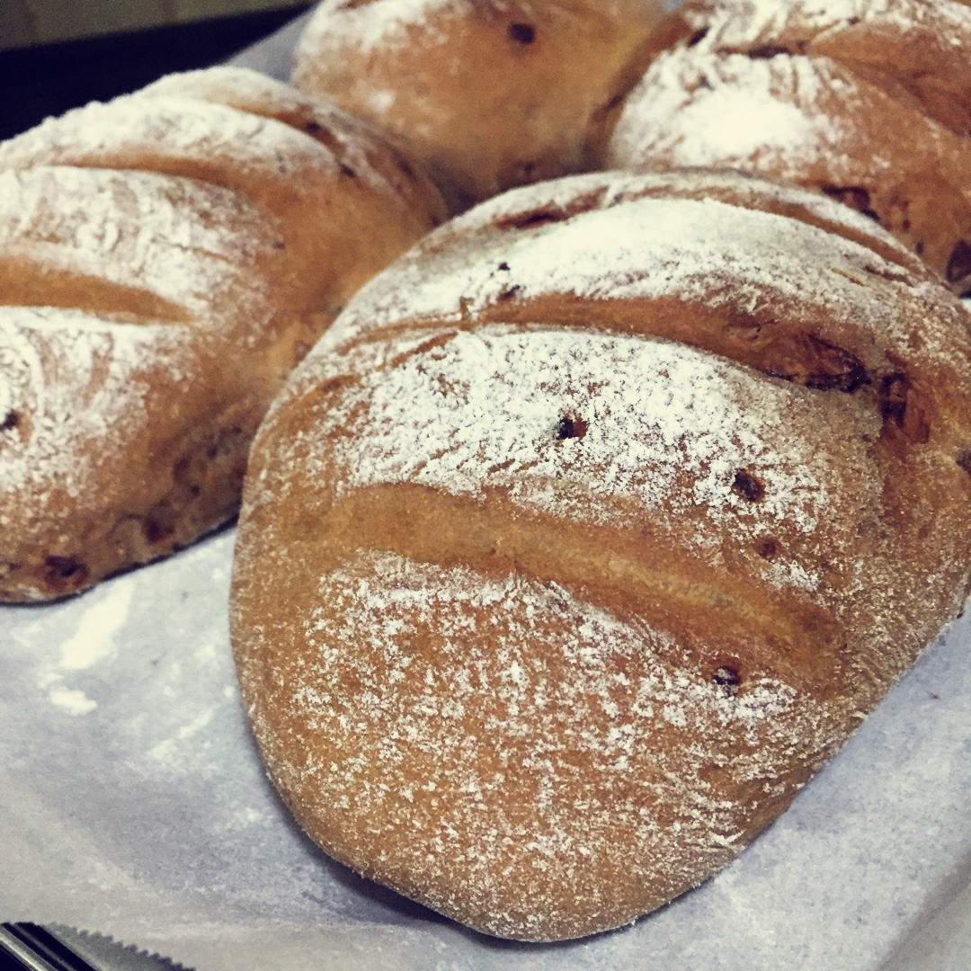 巧克力软欧包(无糖)