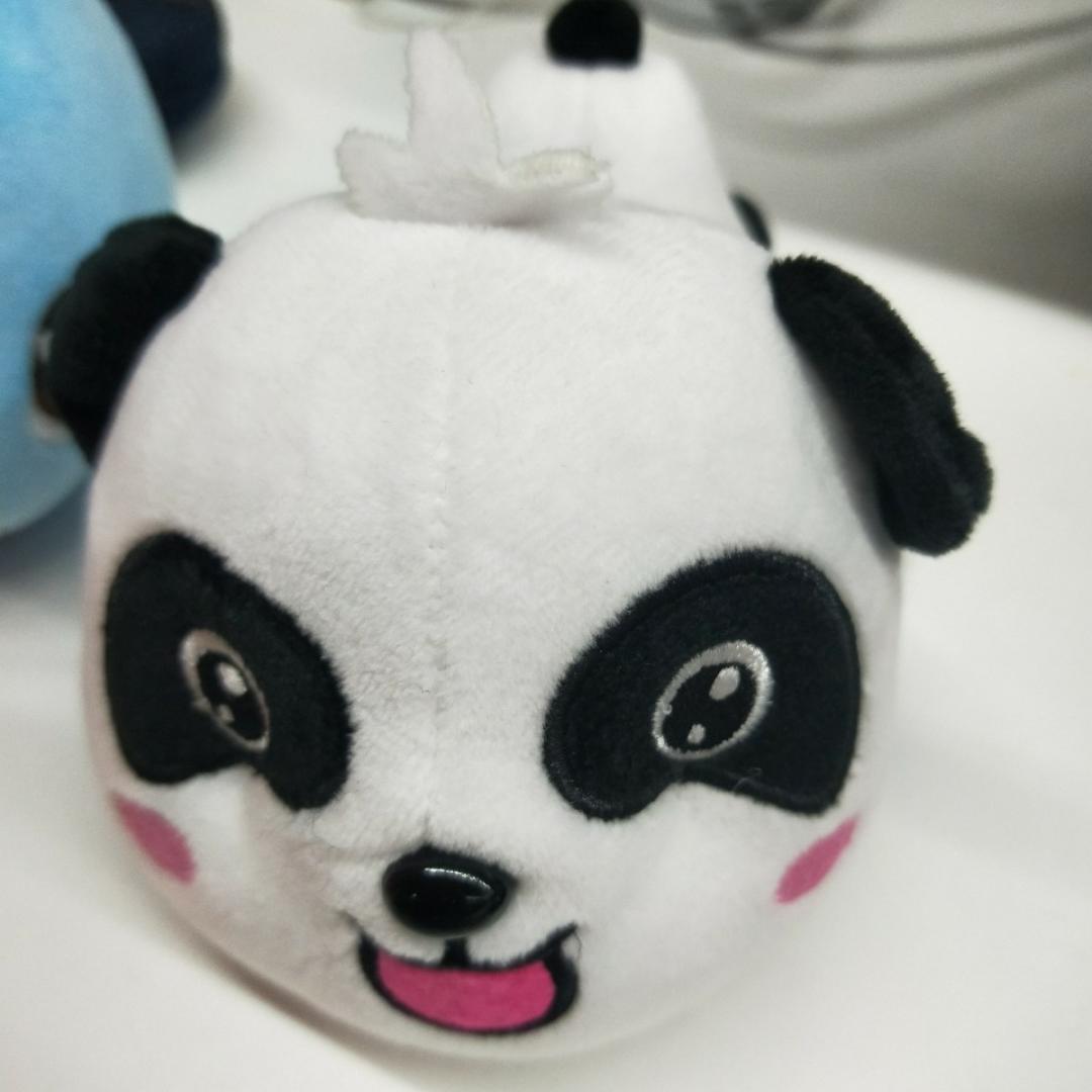 斐小飞