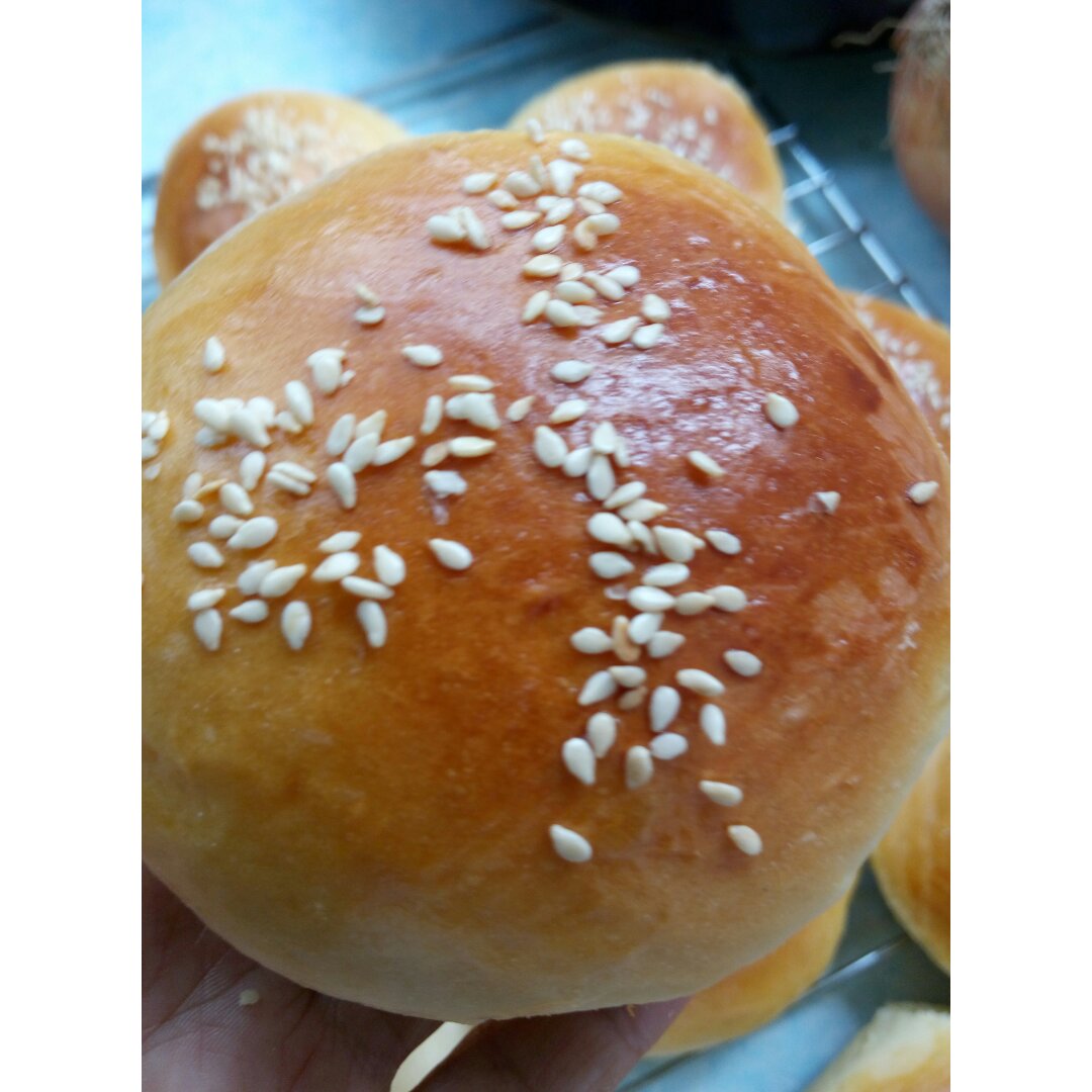 汉堡胚（中种法）