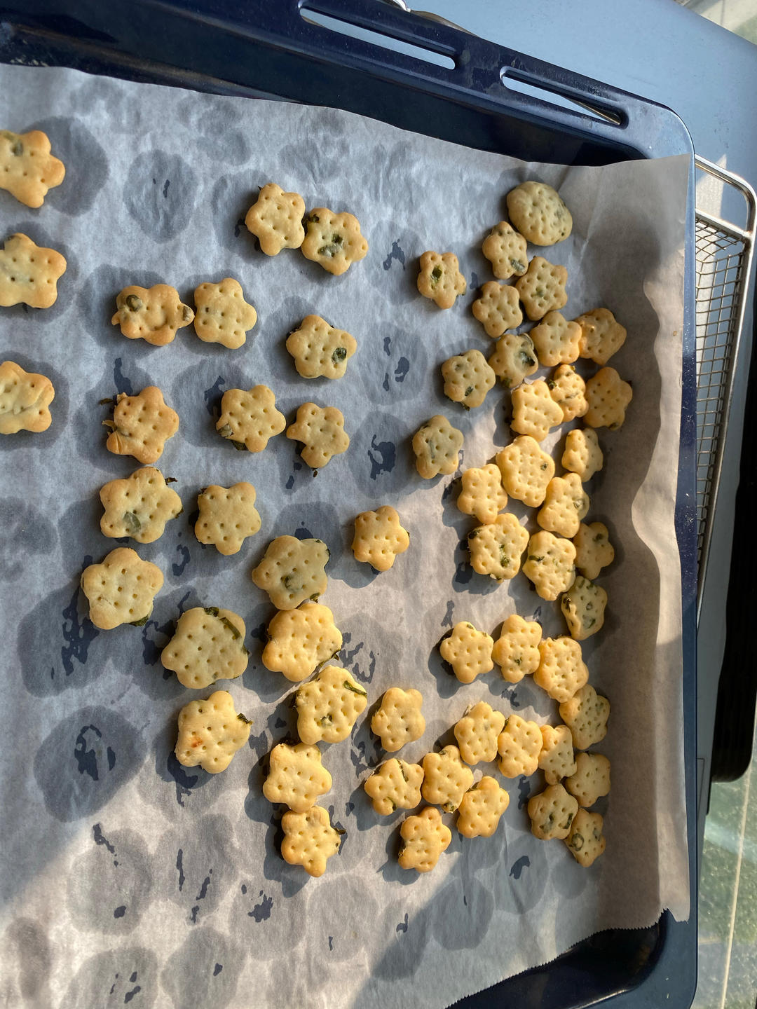 一岁宝宝葱香小饼干