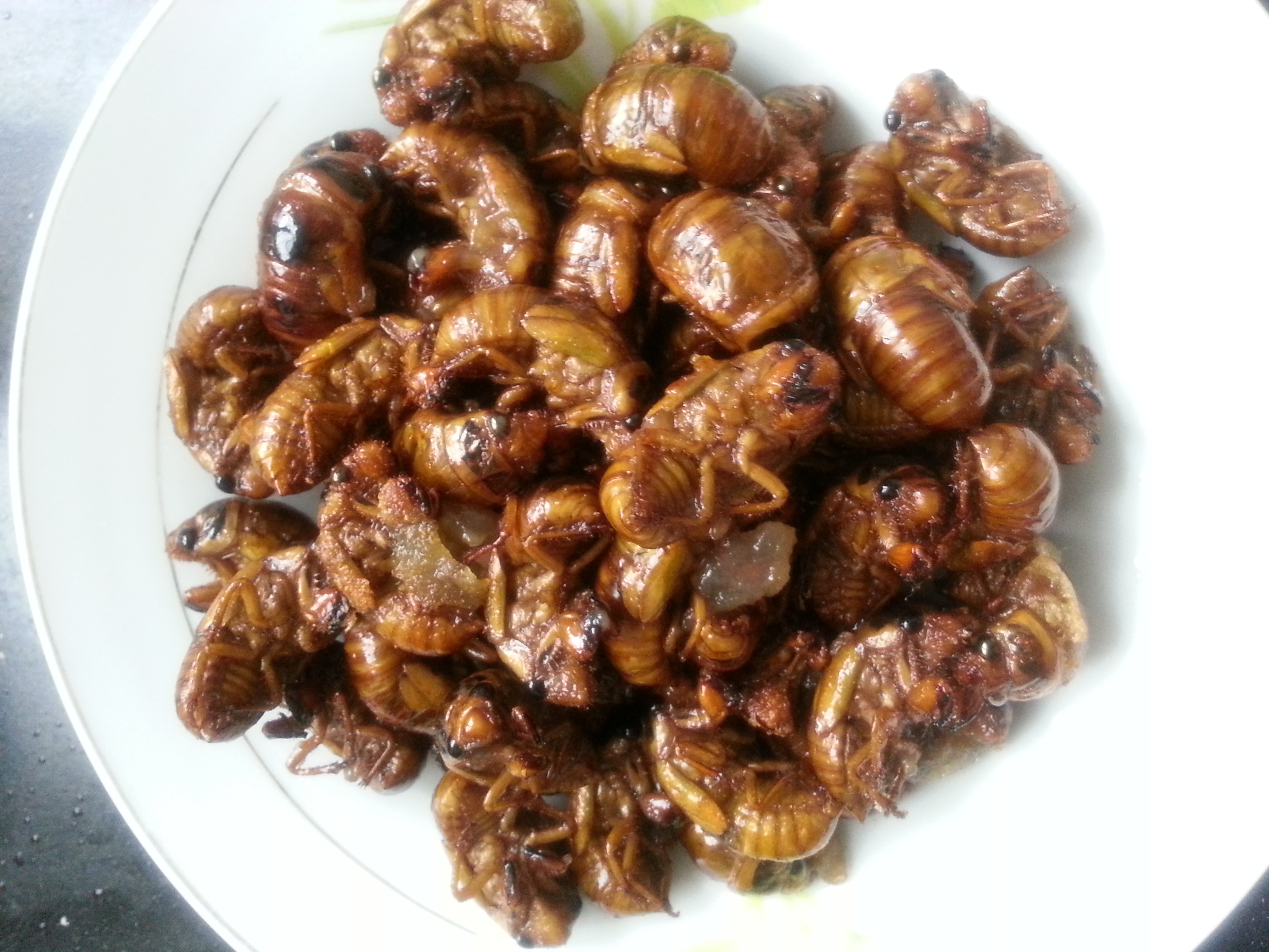 桃子52做的椒盐知了