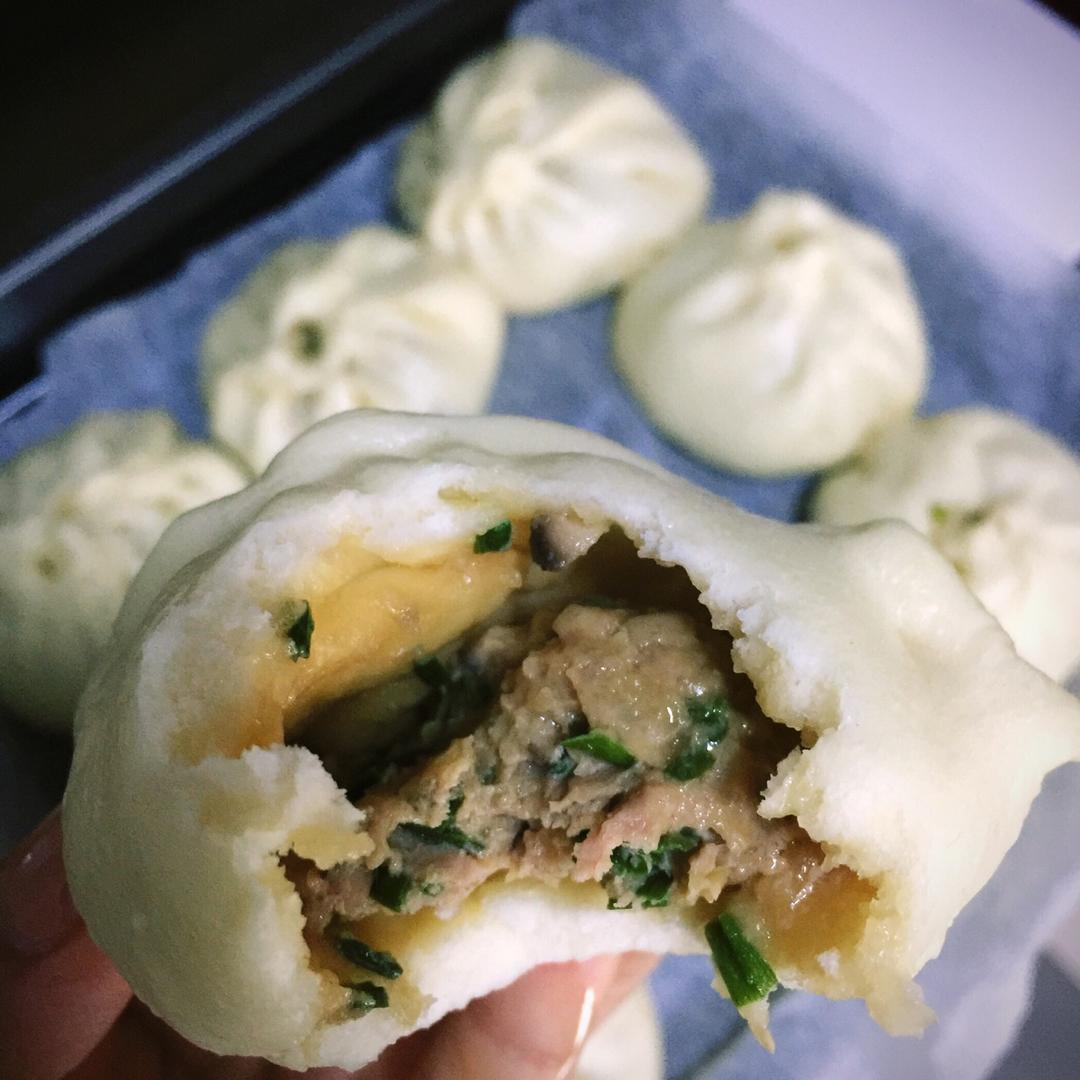 猪肉包子（附视频。一次性发酵。）