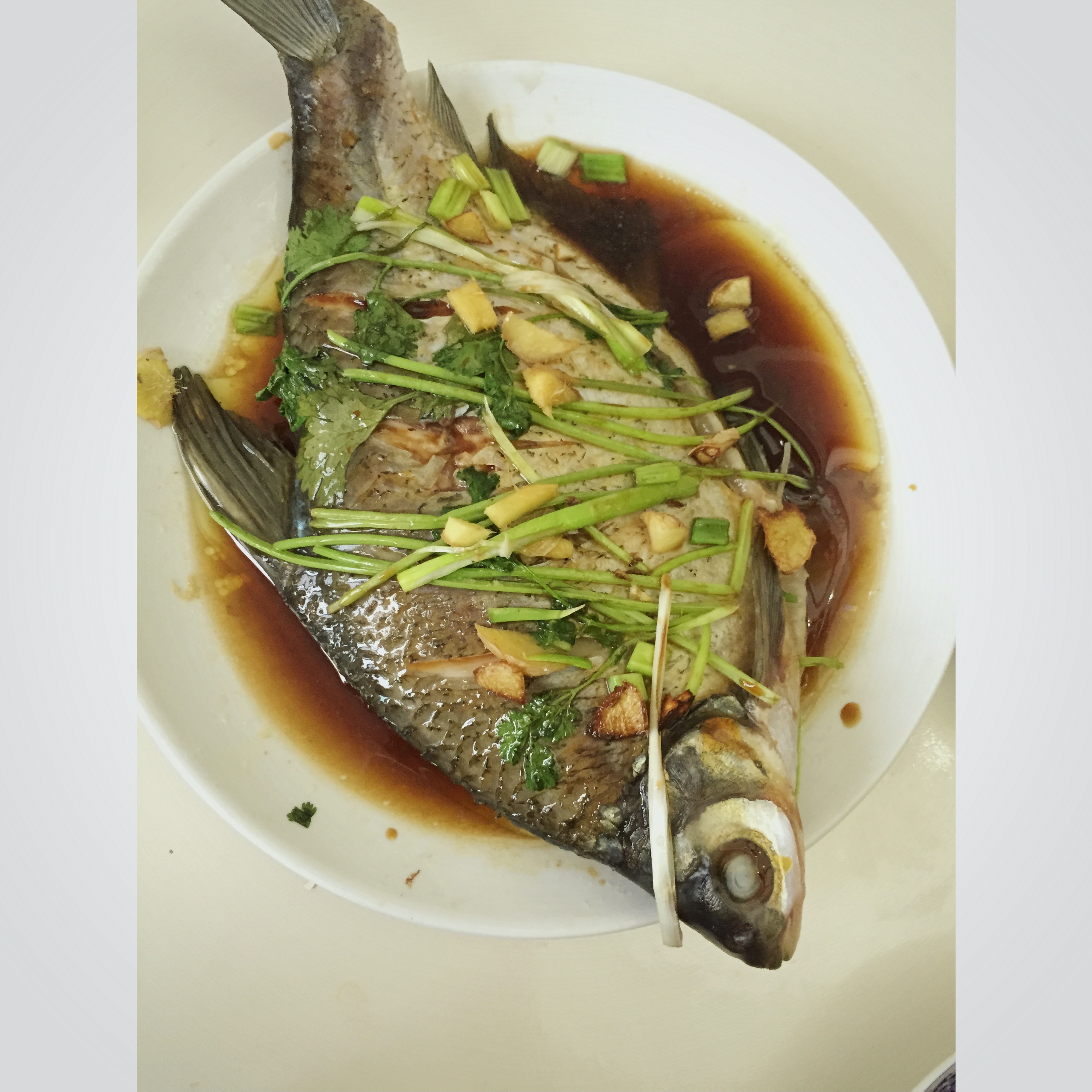 超入味清蒸鱼～清蒸鲈鱼桂花鱼（家常独创）