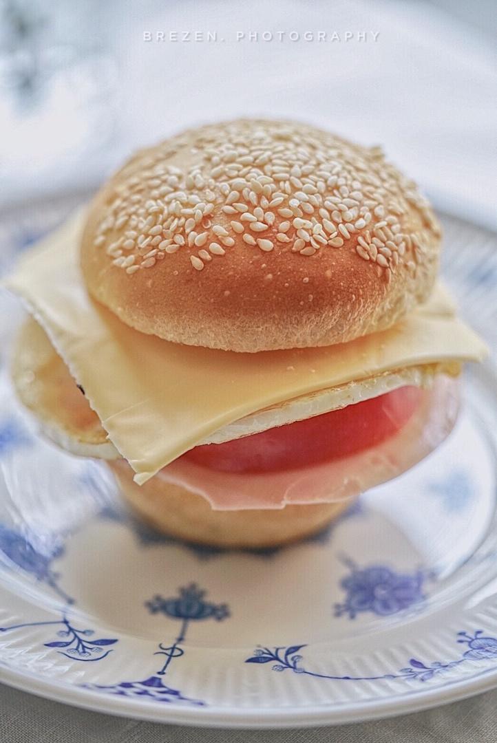 汉堡胚 poolish（波兰种）