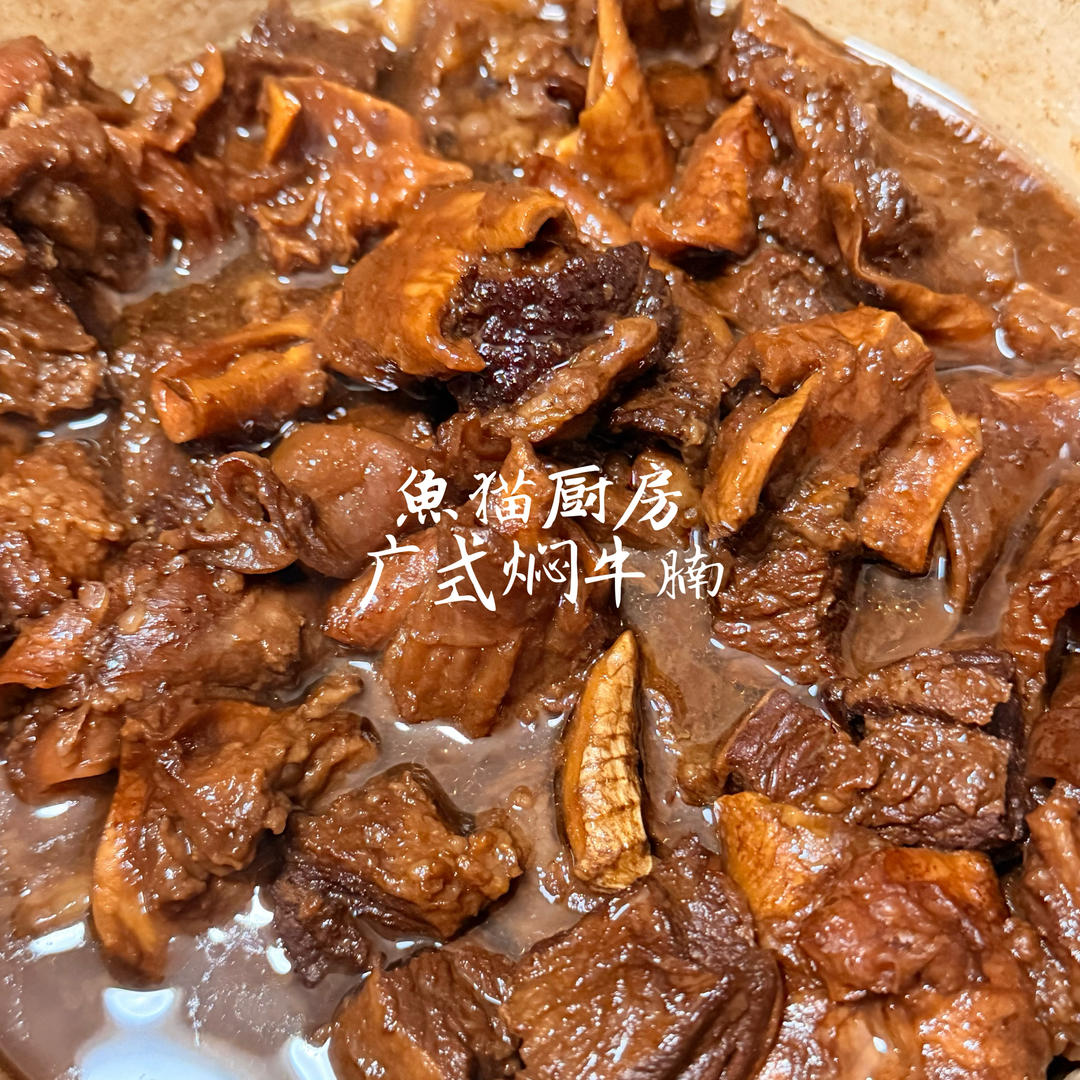 家庭版牛杂煲（广味）