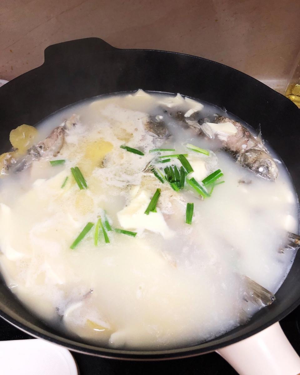 小白兔雯上头做的豆腐鲫鱼汤