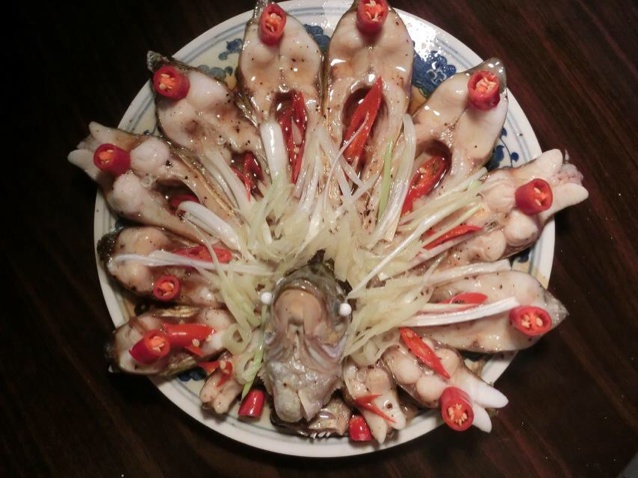 孔雀开屏鱼