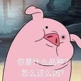 0粉粉猪猪