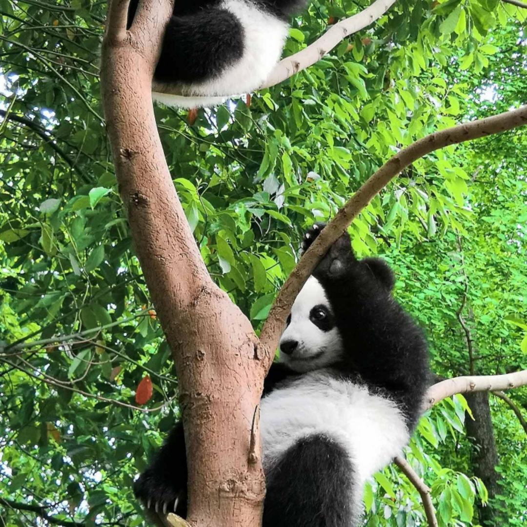 丁亥