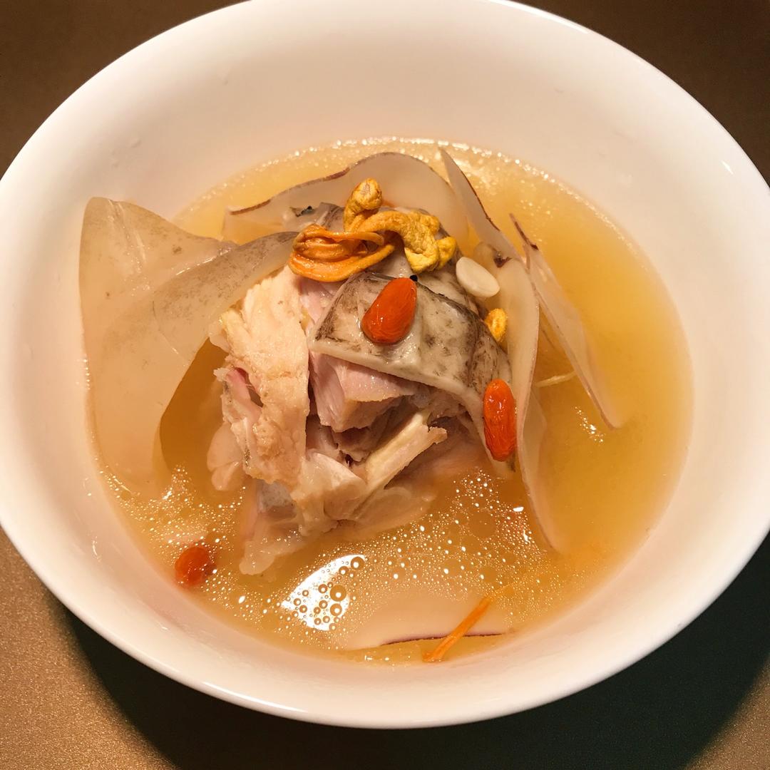 冬草鳄鱼干炖瘦肉汤