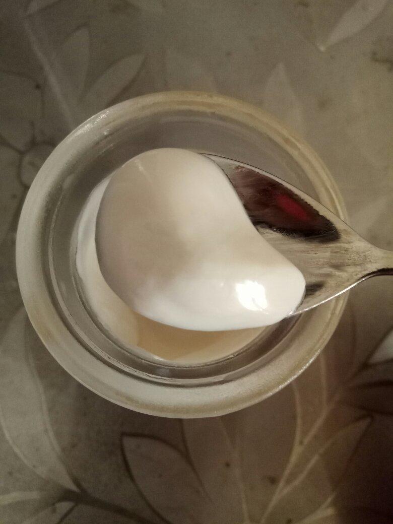 自制酸奶