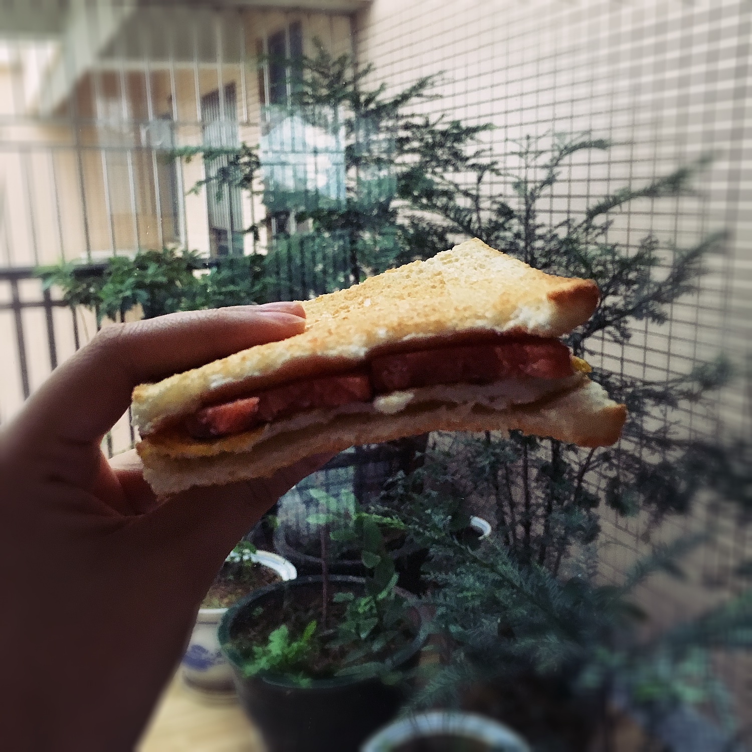 快手营养早餐（sandwich)的做法