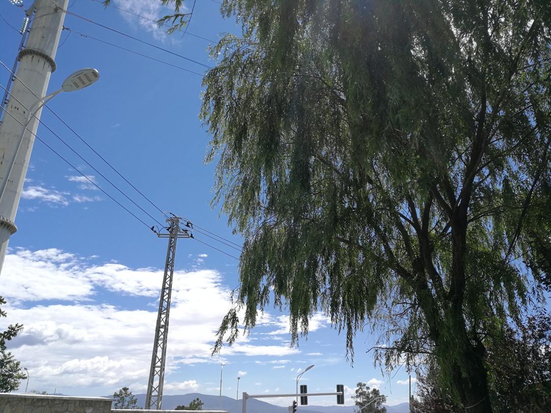 圆白菜粉条鸡蛋馅饼