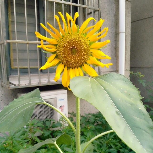 手机用户2324_91z8