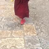 朝阳区任公子