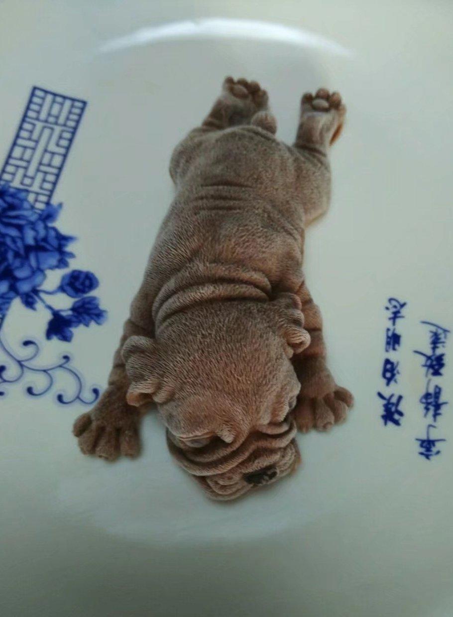 巧克力慕斯小狗