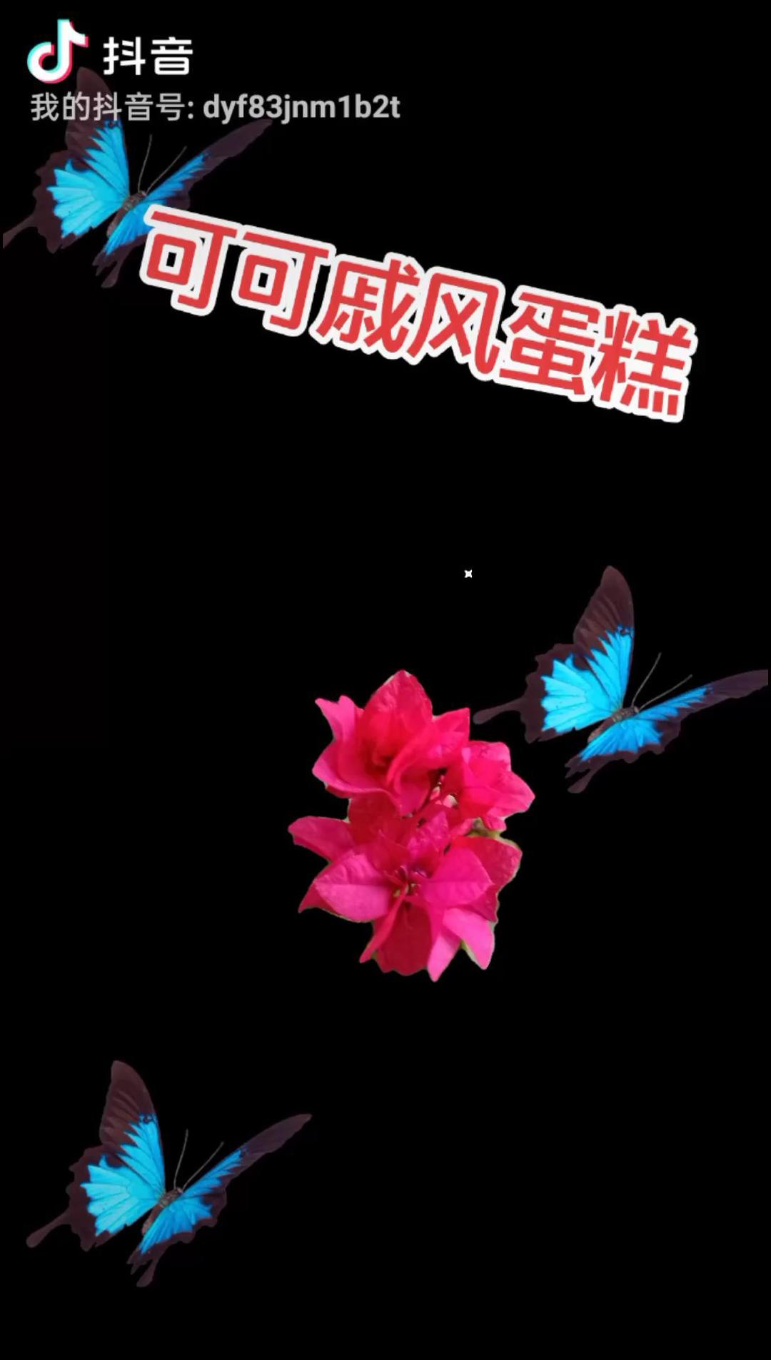 8寸可可戚风蛋糕