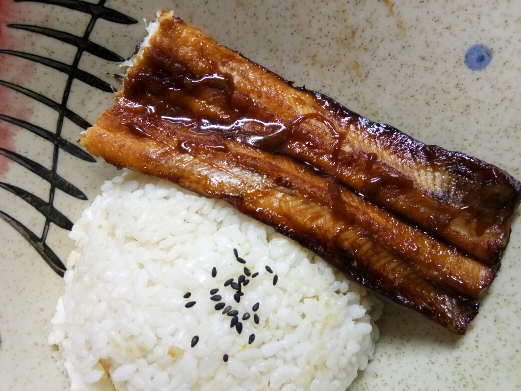 日式烤鳗鱼 鳗鱼饭（超简单 超好吃）的做法 步骤10