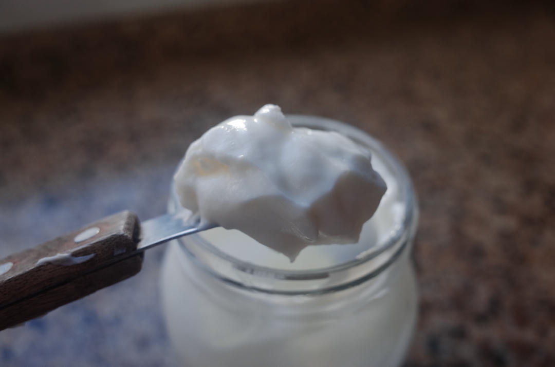 超级懒人（脱脂）希腊酸奶｜牛奶变希腊酸奶全程只用一个罐子